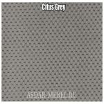 Citus Grey